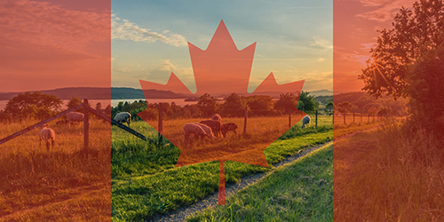 canadian-farms-flag.jpg
